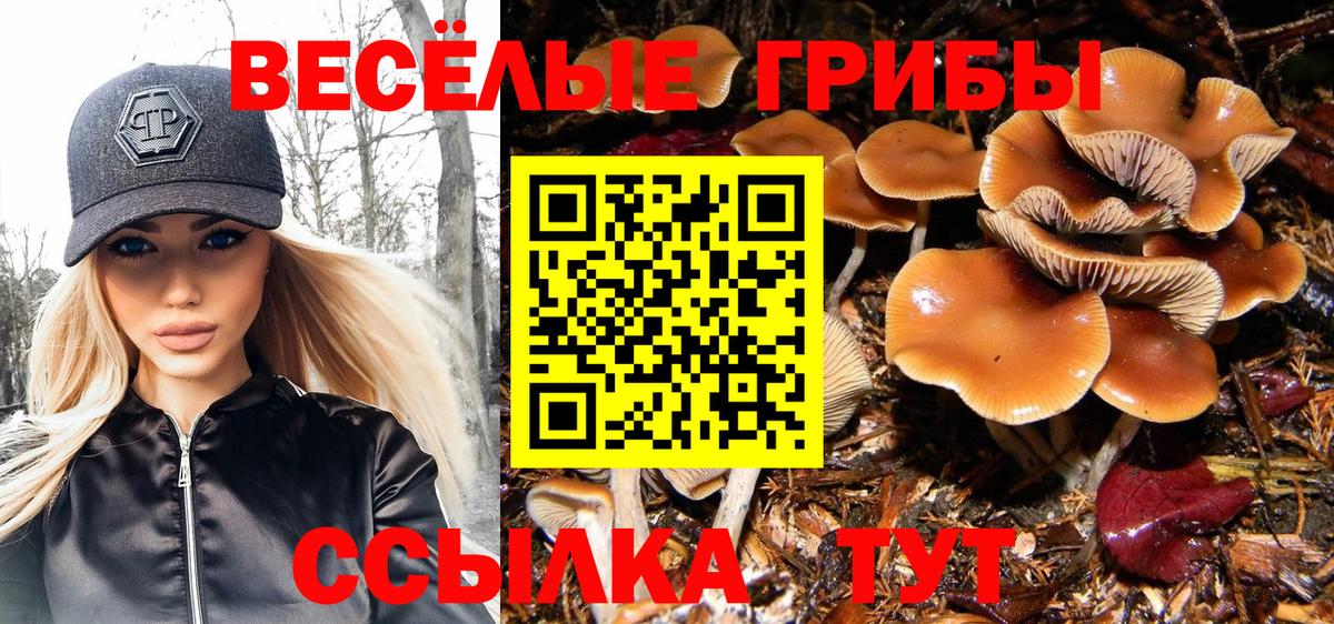 Галлюциногенные грибы ЛСД Дербент